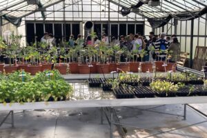 Group of visitors listening to the MBG technician's explanation about crops in the greenhouse.