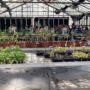 Group of visitors listening to the MBG technician's explanation about crops in the greenhouse.