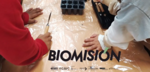 Imagen del proyecto Biomisión, en el que el alumnado realiza un ensayo de investigación con cultivos de brásicas