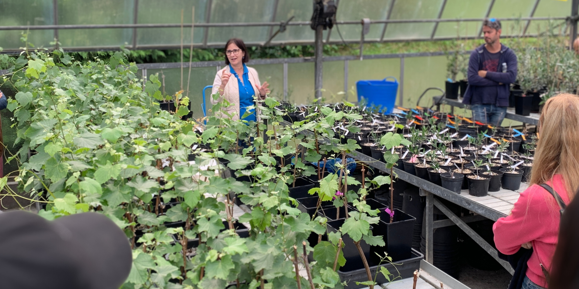Visita el CSIC en Pontevedra