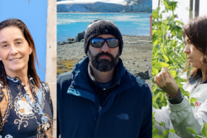 Dos nuevas investigadoras y un investigador en la Misión Biológica de Galicia