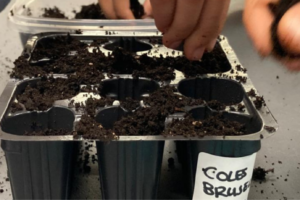 Biomisión es un proyecto de divulgación y transferencia que pretende acercar la investigación agrónoma al pública general