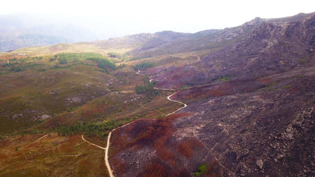 Fire in 2020 The forested territory is partially affected by a fire, with the right side completely scorched and the left side full of vegetation