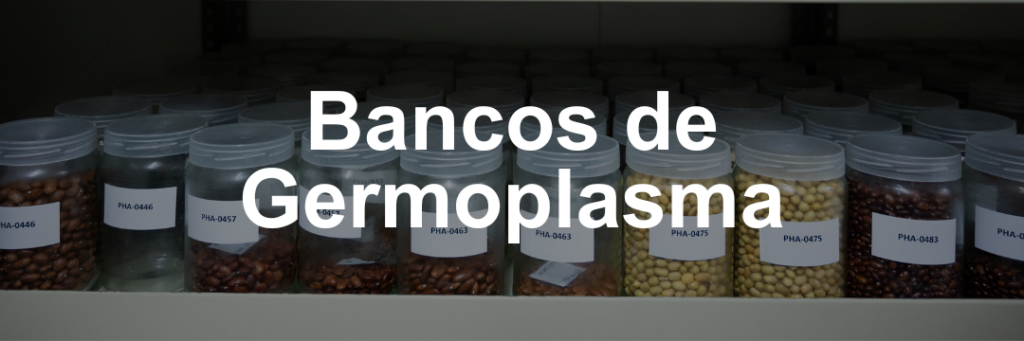 Bancos de Germoplasma